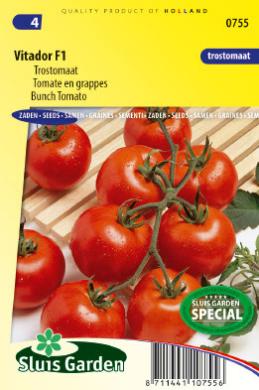 Tomato Vitador F1 (Solanum) 25 seeds